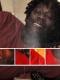 gay personals
